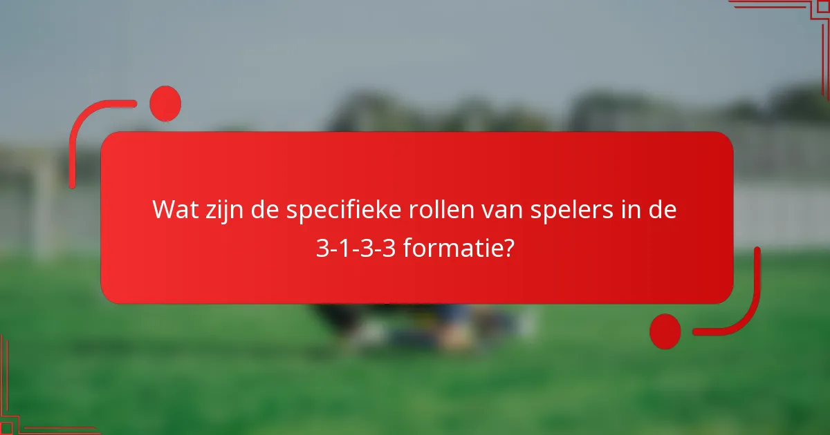 Wat zijn de specifieke rollen van spelers in de 3-1-3-3 formatie?
